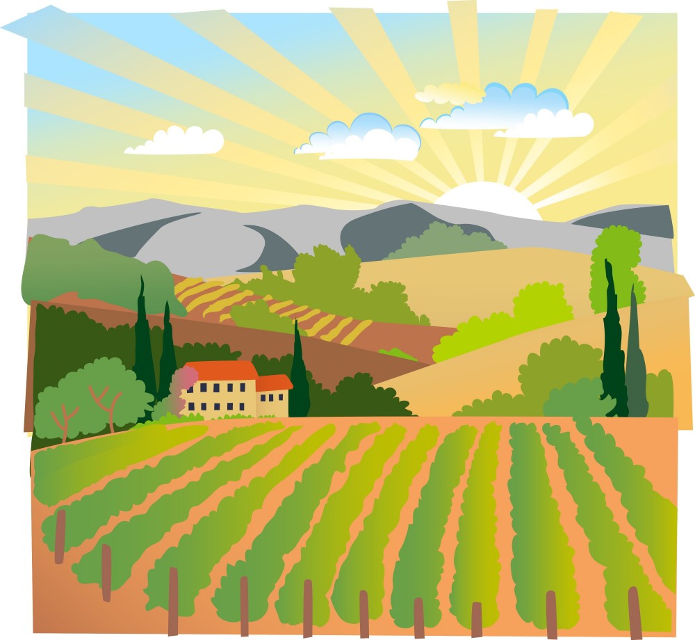 Top 5 Benefits to Attending a Rural School